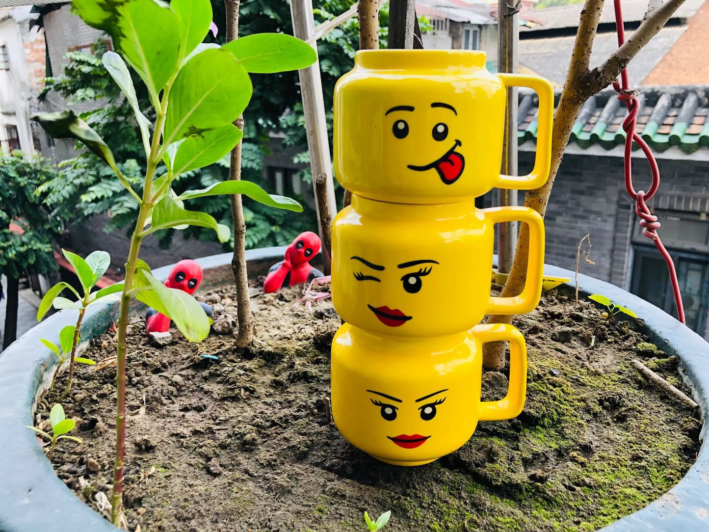 Ly Sứ Hình Mặt Cười