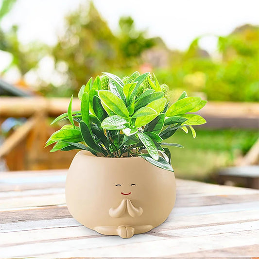 Chậu Cây Mini Decor Văn Phòng