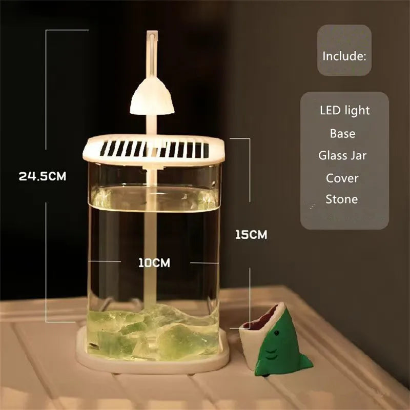 Bể Cá Kính Mini Để Bàn Kèm Đèn LED