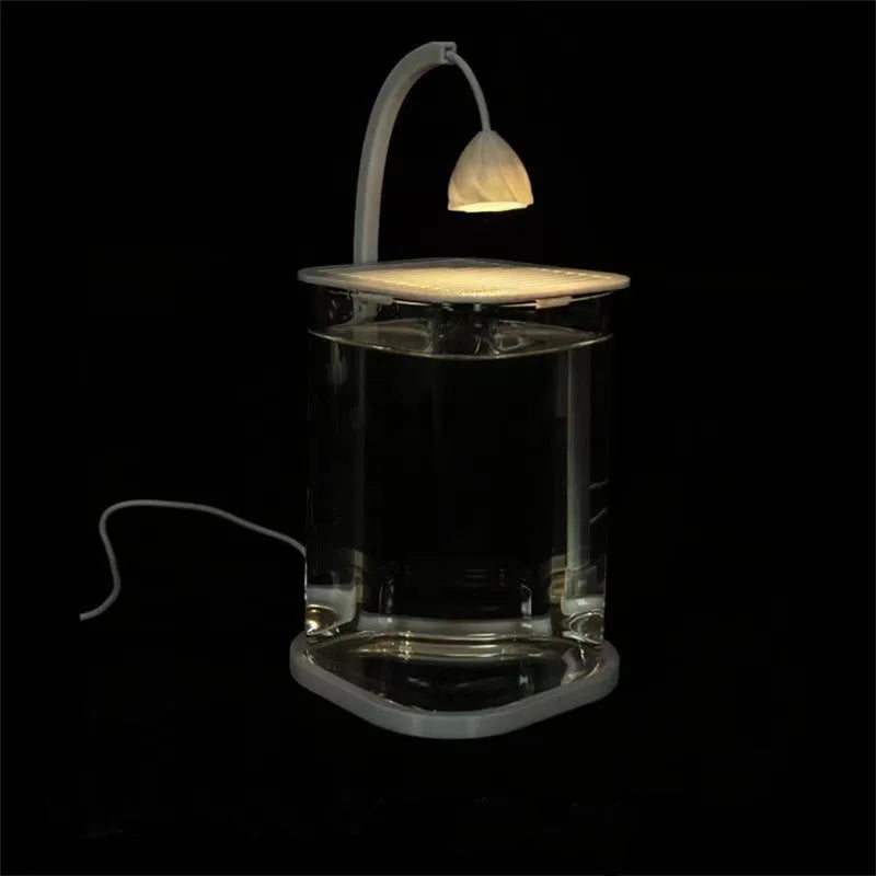Bể Cá Kính Mini Để Bàn Kèm Đèn LED