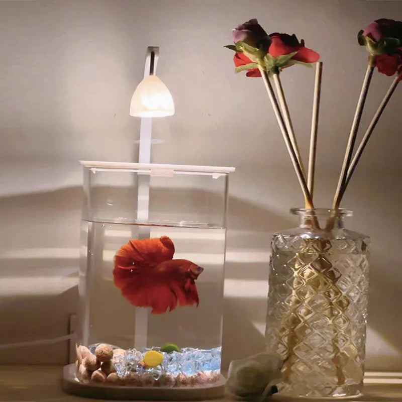 Bể Cá Kính Mini Để Bàn Kèm Đèn LED