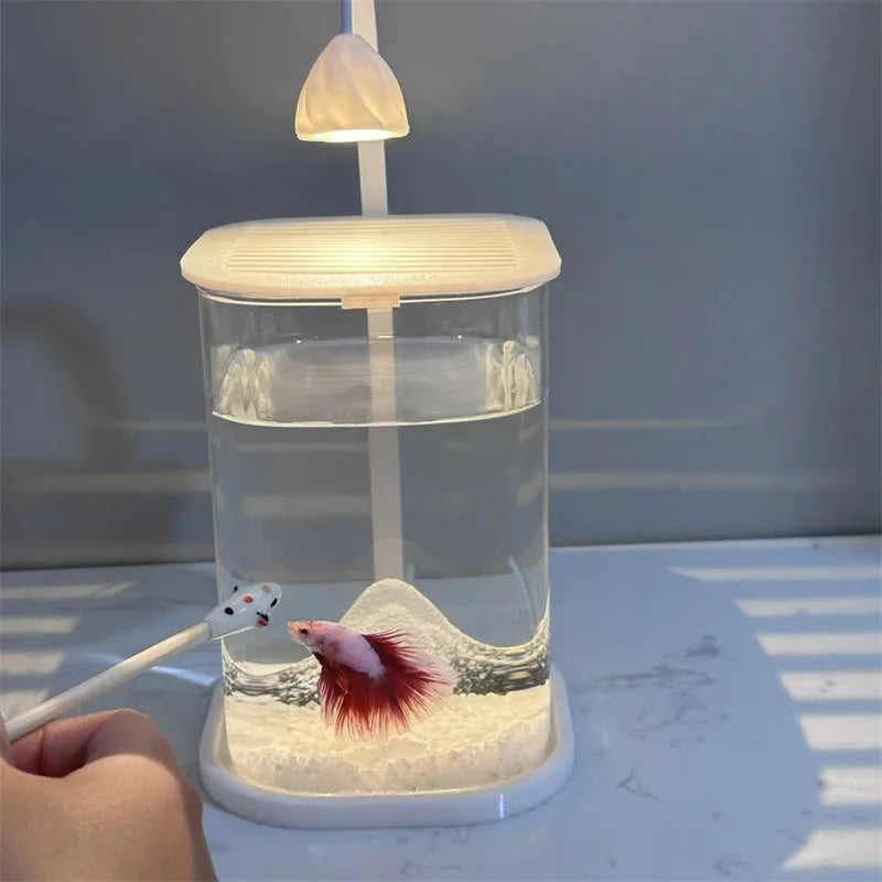 Bể Cá Kính Mini Để Bàn Kèm Đèn LED