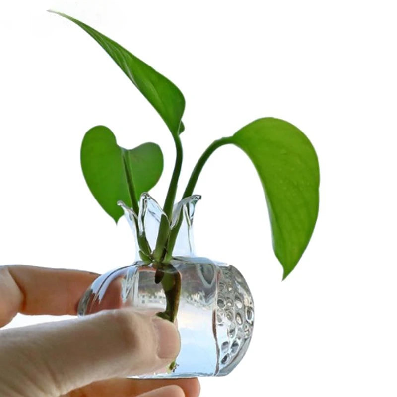 Bình Hoa Thủy Tinh Hình Quả Lựu Decor