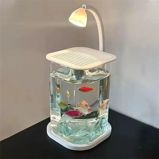 Bể Cá Kính Mini Để Bàn Kèm Đèn LED