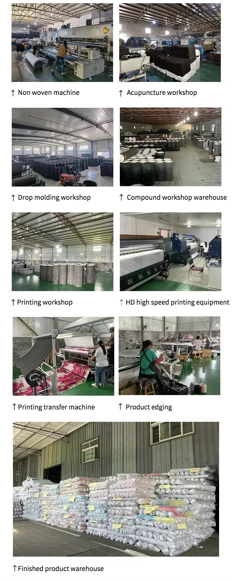Thảm Trải Sàn Họa Tiết Động Vật